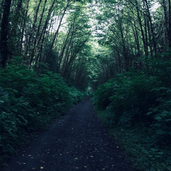 Meet your Posher, Caitlin - Picture 1 of 1